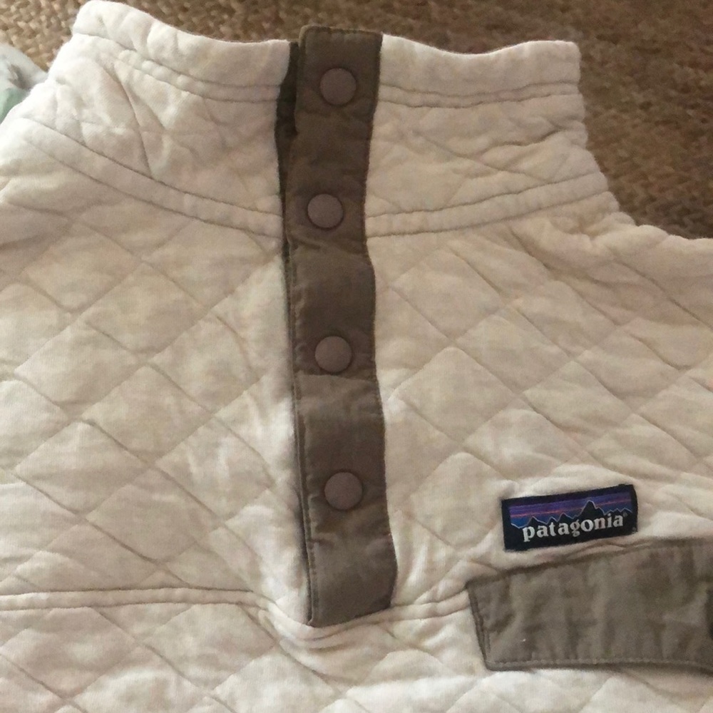 Patagonia sweatshirt